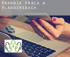 Prawnik praca w  Flandersbach