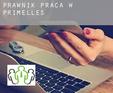 Prawnik praca w  Primelles