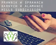 Prawnik w sprawach karnych w  Alamance Hills Subdivision