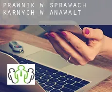 Prawnik w sprawach karnych w Anawalt