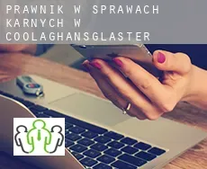 Prawnik w sprawach karnych w  Coolaghansglaster