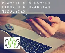 Prawnik w sprawach karnych w  Hrabstwo Middlesex
