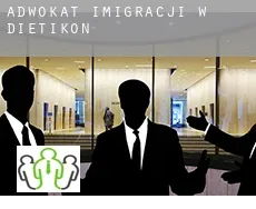 Adwokat imigracji w  Dietikon