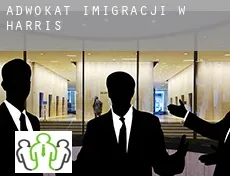 Adwokat imigracji w  Harris