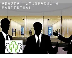 Adwokat imigracji w  Marienthal