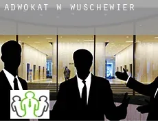 Adwokat w  Wuschewier
