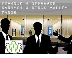 Prawnik w sprawach karnych w  Kings Valley Manor
