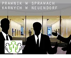 Prawnik w sprawach karnych w  Neuendorf
