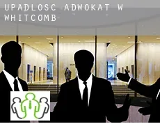 Upadłość adwokat w  Whitcomb