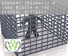 Adwokat imigracji w  Inne miasta w The Federal District