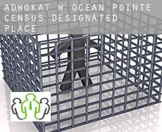 Adwokat w  Ocean Pointe