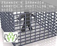 Prawnik w sprawach karnych w  Châtillon-en-Diois
