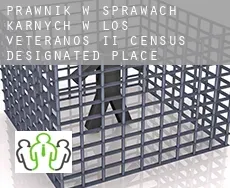 Prawnik w sprawach karnych w  Los Veteranos II