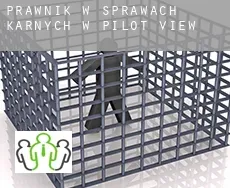 Prawnik w sprawach karnych w  Pilot View