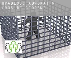 Upadłość adwokat w  Cros-de-Géorand