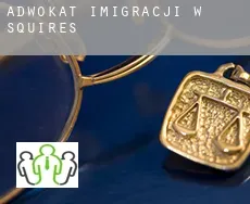 Adwokat imigracji w  Squires