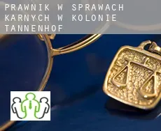 Prawnik w sprawach karnych w  Kolonie Tannenhof