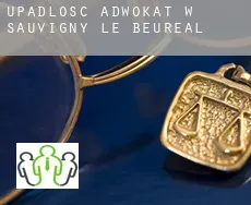 Upadłość adwokat w Sauvigny-le-Beuréal