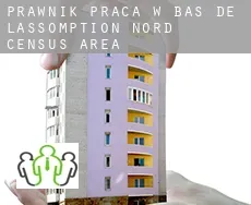 Prawnik praca w  Bas-de-L'Assomption-Nord (census area)