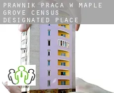Prawnik praca w  Maple Grove