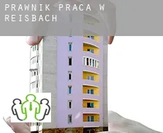 Prawnik praca w  Reisbach