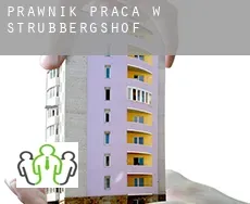 Prawnik praca w  Strubbergshof