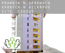 Prawnik w sprawach karnych w  Kickapoo Site 2