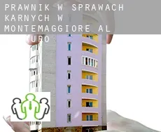 Prawnik w sprawach karnych w  Montemaggiore al Metauro