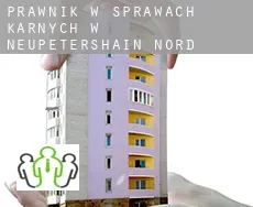 Prawnik w sprawach karnych w  Neupetershain Nord