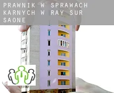Prawnik w sprawach karnych w  Ray-sur-Saône