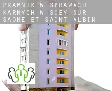 Prawnik w sprawach karnych w  Scey-sur-Saône-et-Saint-Albin