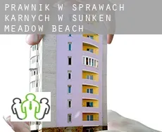 Prawnik w sprawach karnych w  Sunken Meadow Beach