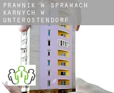 Prawnik w sprawach karnych w  Unterostendorf