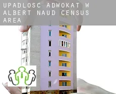 Upadłość adwokat w  Albert-Naud (census area)