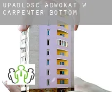 Upadłość adwokat w  Carpenter Bottom