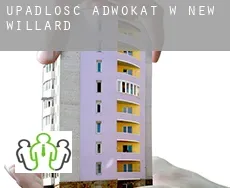 Upadłość adwokat w  New Willard