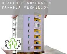 Upadłość adwokat w  Parafia Vermilion