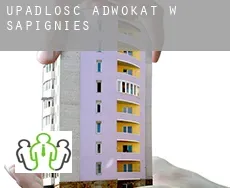 Upadłość adwokat w  Sapignies
