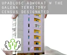 Upadłość adwokat w  The Galena Territory