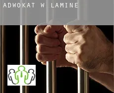 Adwokat w  Lamine