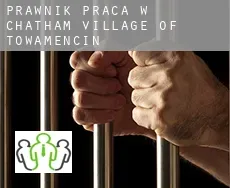 Prawnik praca w  Chatham Village of Towamencin