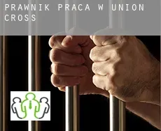 Prawnik praca w  Union Cross