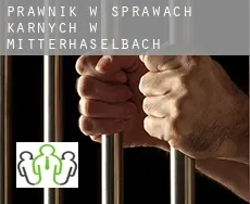 Prawnik w sprawach karnych w  Mitterhaselbach