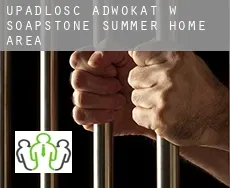 Upadłość adwokat w  Soapstone Summer Home Area