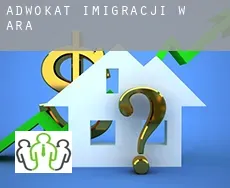 Adwokat imigracji w  Ara