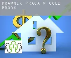 Prawnik praca w Cold Brook