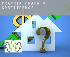 Prawnik praca w  Spreiterhof