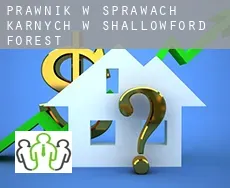 Prawnik w sprawach karnych w  Shallowford Forest