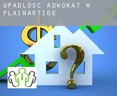 Upadłość adwokat w  Plainartige