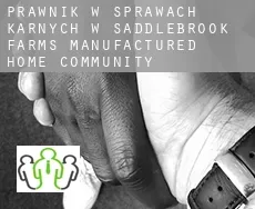 Prawnik w sprawach karnych w  Saddlebrook Farms Manufactured Home Community